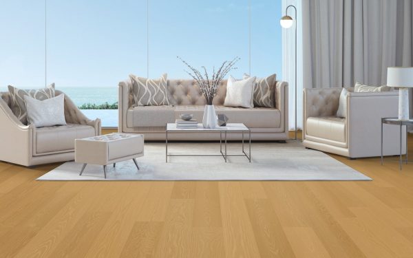 Catalog ALLURE COLLECTION – Lucid