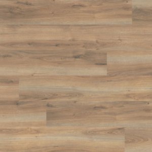 Catalog ALPINE COLLECTION – Echo